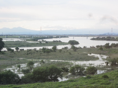 豪雨の翌日の江戸川流頭部