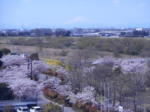 0409富士山