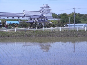 関宿城0503