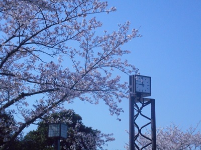 0331にこにこ水辺公園