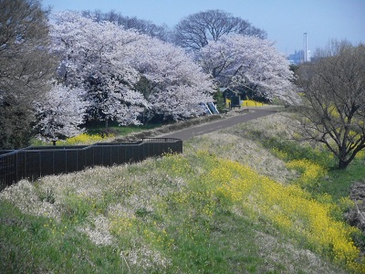 0331中之島公園