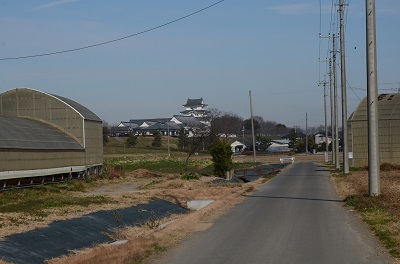 牧場からの帰り道