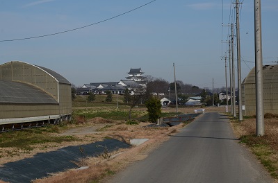 牧場からの帰り道