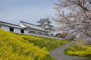 城と桜