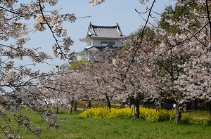 関宿城　裏