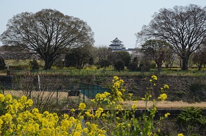 対岸から城