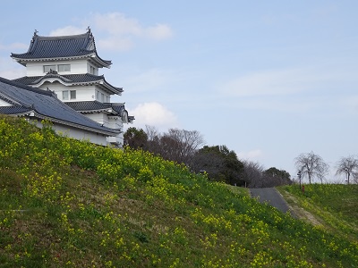 城　菜の花