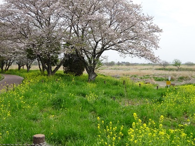 0404中之島公園