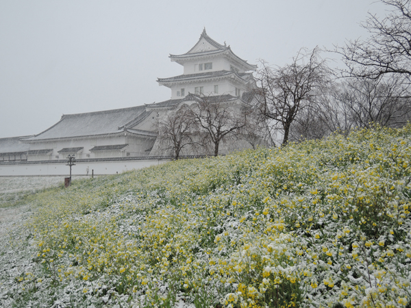 雪城１