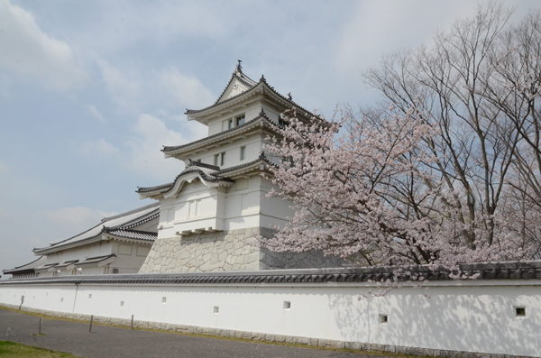 お城と桜