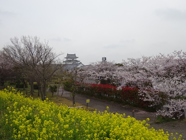 関宿城