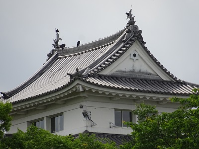 天守と烏