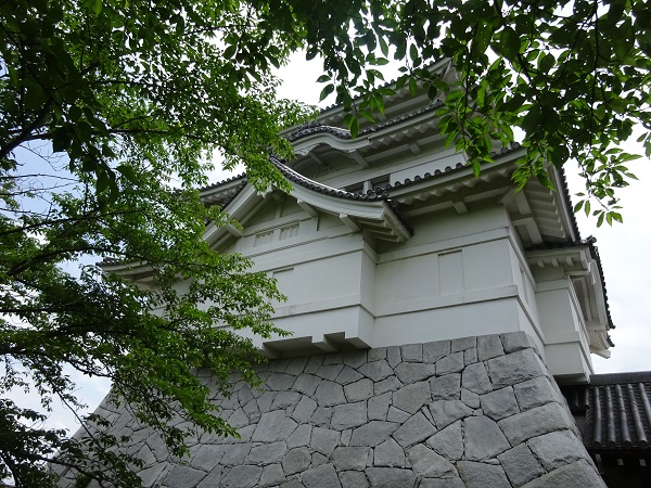 初夏の関宿城