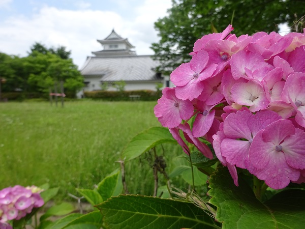 紫陽花越しの関宿城