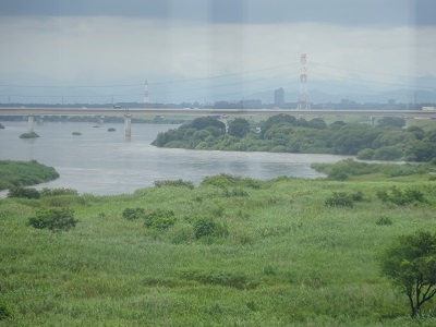 江戸川流頭部