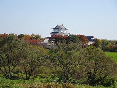 紅葉の城