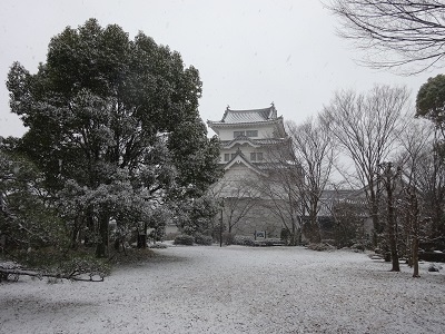 庭園からの城