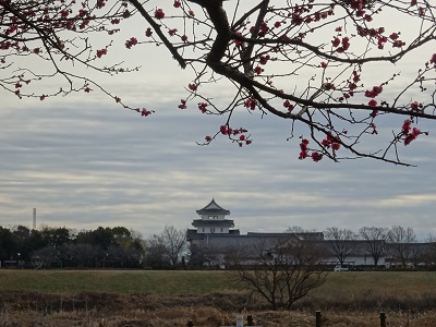 城と紅梅