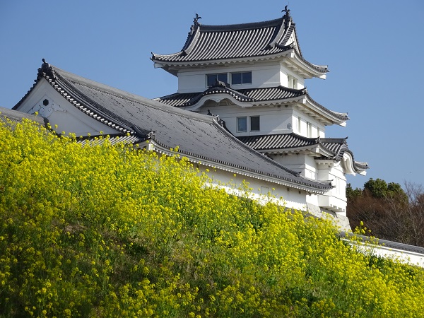 関宿城と菜の花