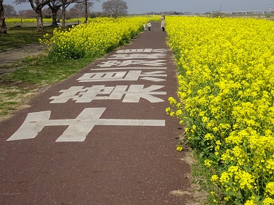 県境