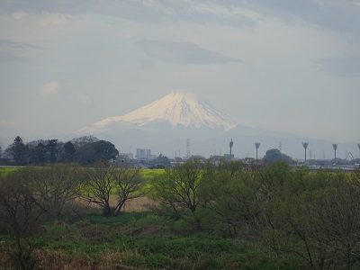 富士山