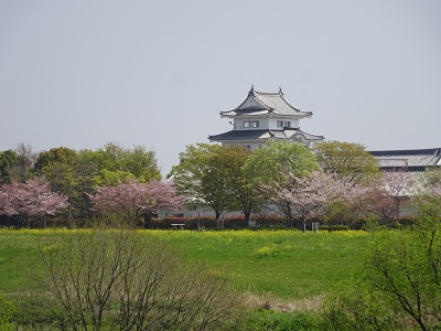 橋の上からみえる青葉のお城