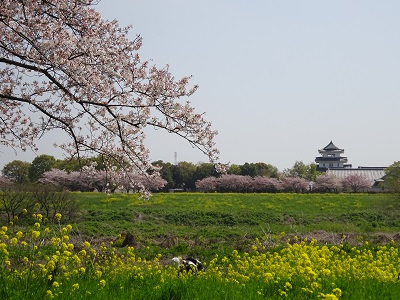 中之島公園からみえるお城