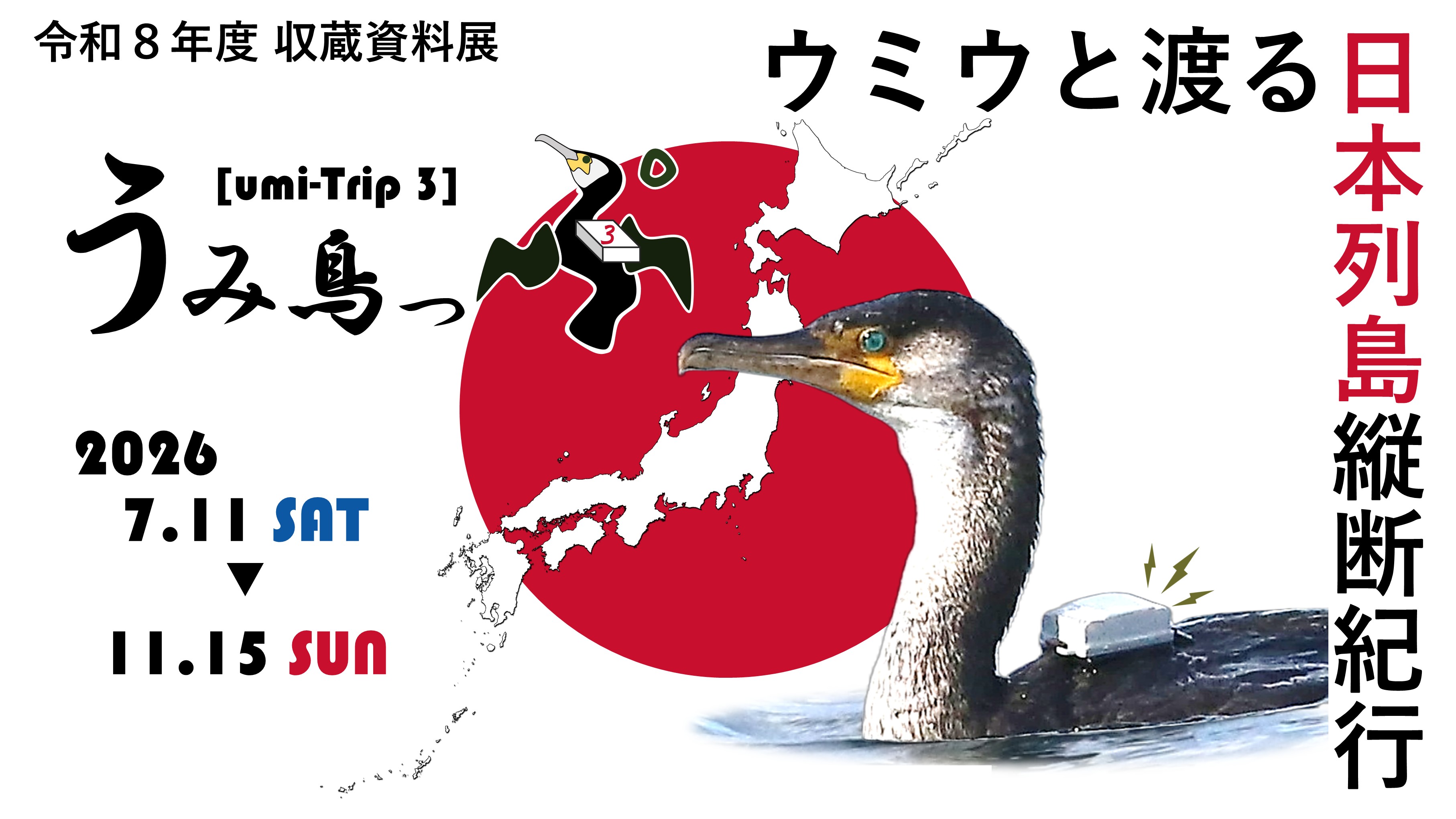 収蔵資料展「うみ鳥っぷ３」7月11日～11月15日開催