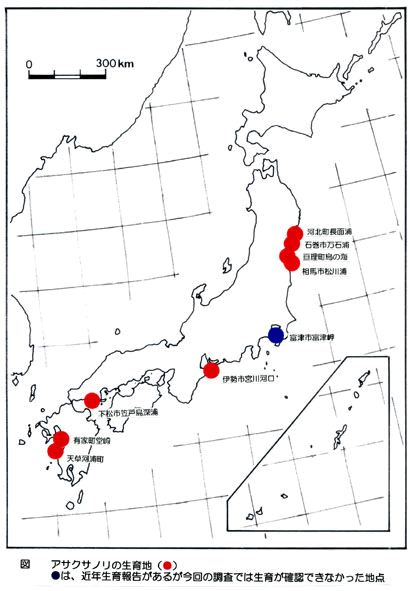 アサクサノリの生育地の図