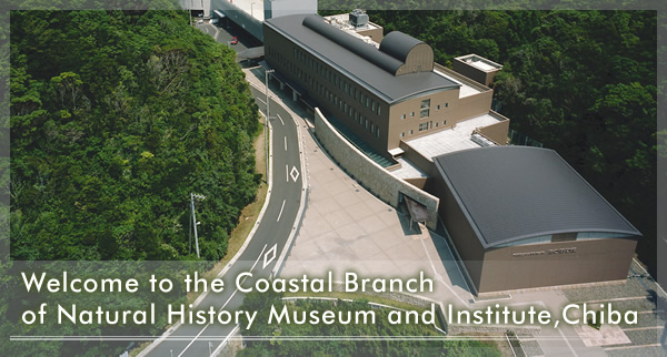 Coastal Branch of Natural History Museum and Institute