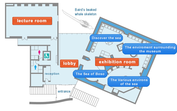 room map