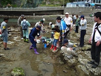 親子で磯の魚を探そう