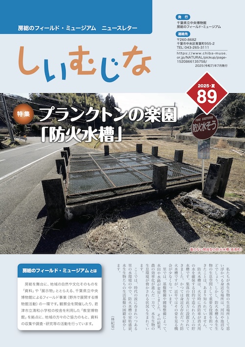 Shiimujina89