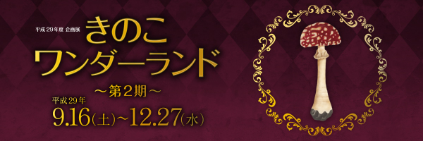 きのこワンダーランド