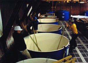 寺田本家のもろみ仕込み