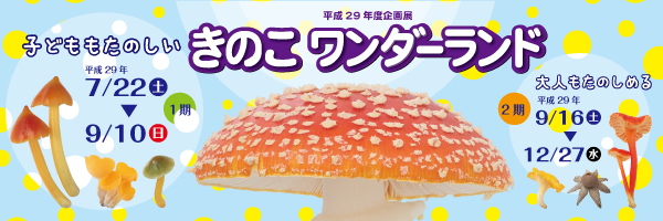 きのこワンダーランド