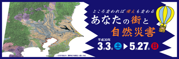 あなたの街と自然災害