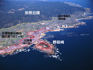 地震による隆起で形成された海岸段丘（南房総市）