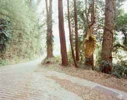  富津市関尻の綱吊り