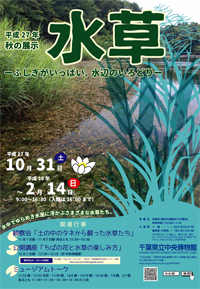 水草ポスター
