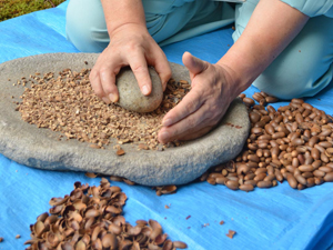 どんぐりを石で叩いてすりつぶす