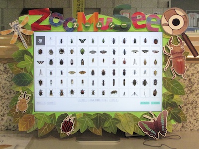 好きな昆虫をえらぶ