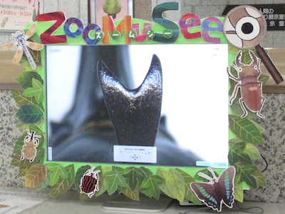 角だってこんなに