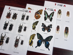 昆虫下じき図鑑