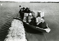 印旛沼の女船頭さん