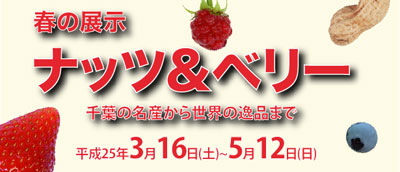 春の展示 ナッツ&ベリー