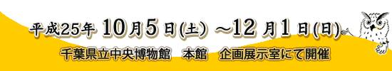 平成２５年１０月５日（土）〜１２月１日（日）千葉県立中央博物館本館企画展示室にて開催