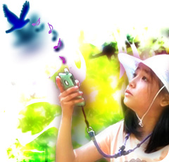 とりの声キャッチ名人の様子