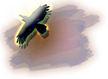 鳥が飛んでいるイラスト