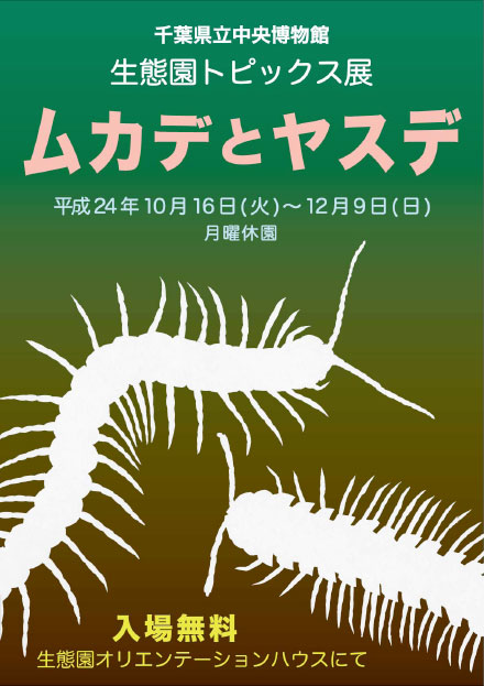生態園トピックス展「ムカデとヤスデ」
